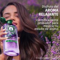 Champú Control Frizz Lavanda 350ml-227379 Champú Control Frizz Lavanda 350ml-227379 1